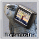 Avatar de torrenostra