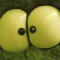 Avatar de Amiswebos
