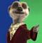Avatar de serif