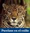 Avatar de jaguarpi