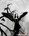 Avatar de thekrismetal